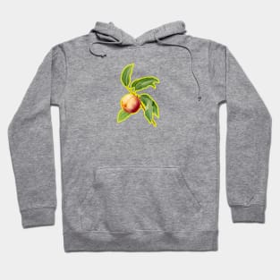 Lil Pesco Hoodie